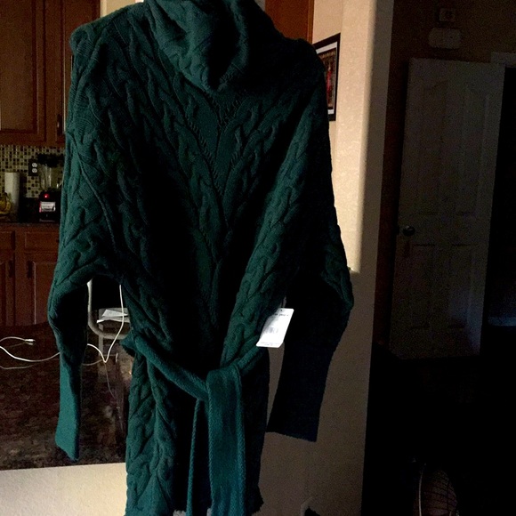 NWT Free people vetiver shade tunic sweater dress - Picture 4 of 10